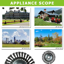 Pavement Surface Grass Trimmer